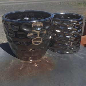 Silver Dollar Vases (2)